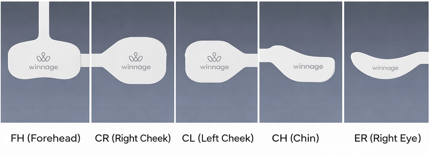 WINNAGE 핸드피스 구성